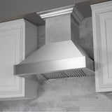 48'' DuraSnow Stainless Steel Range Hood with DuraSnow Shell