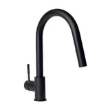 Z-Line - Gemini Kitchen Faucet in Matte Black - Matte Black