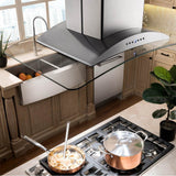 36'' Island Mount Range Hood in Stainless Steel & Glass