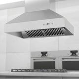 48'' Outdoor Island Mount Range Hood in Stainless Steel