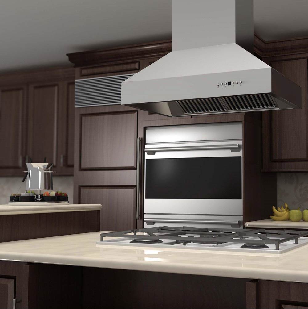 48'' Outdoor Island Mount Range Hood in Stainless Steel