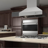 48'' Outdoor Island Mount Range Hood in Stainless Steel