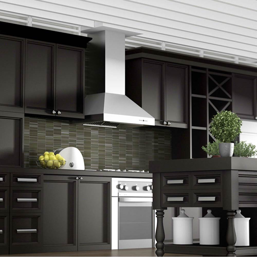54'' Outdoor Wall Mount Range Hood in Stainless Steel