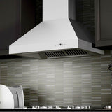 54'' Outdoor Wall Mount Range Hood in Stainless Steel