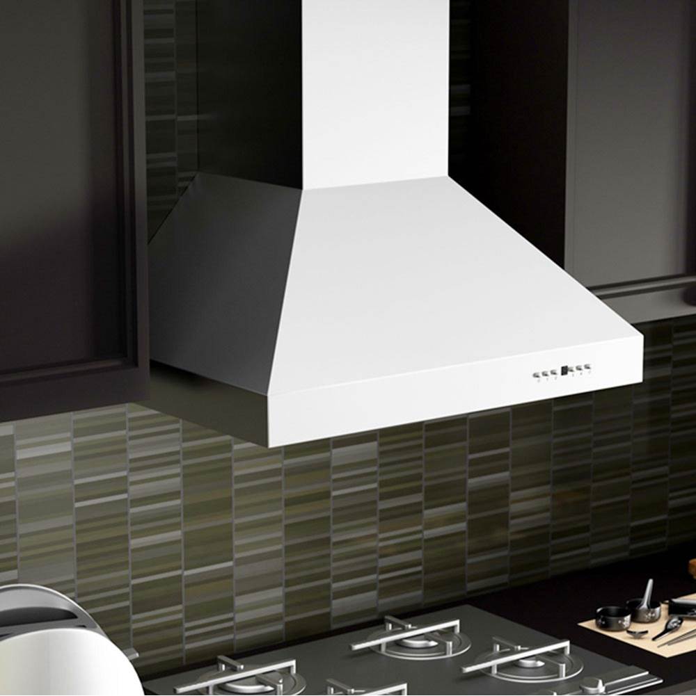 54'' Outdoor Wall Mount Range Hood in Stainless Steel