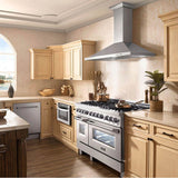 48'' Outdoor Wall Mount Range Hood in Stainless Steel