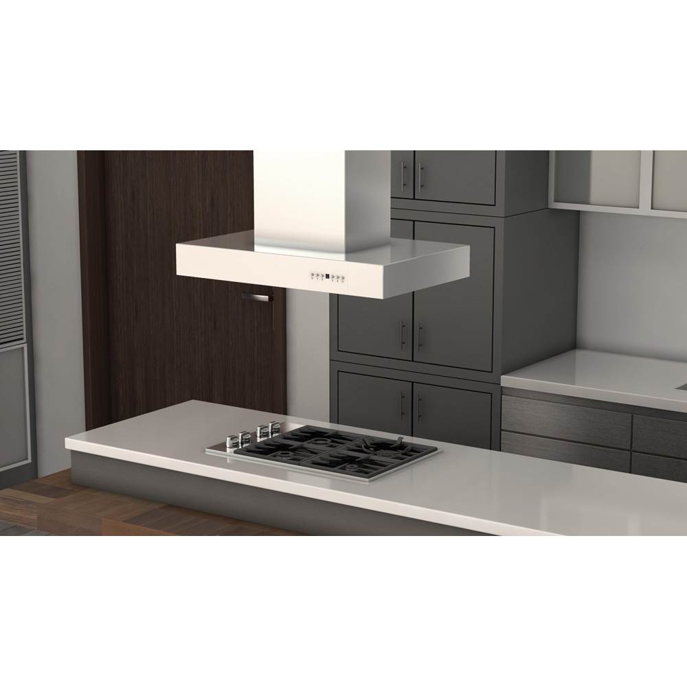 48'' Outdoor Island Mount Range Hood in Stainless Steel