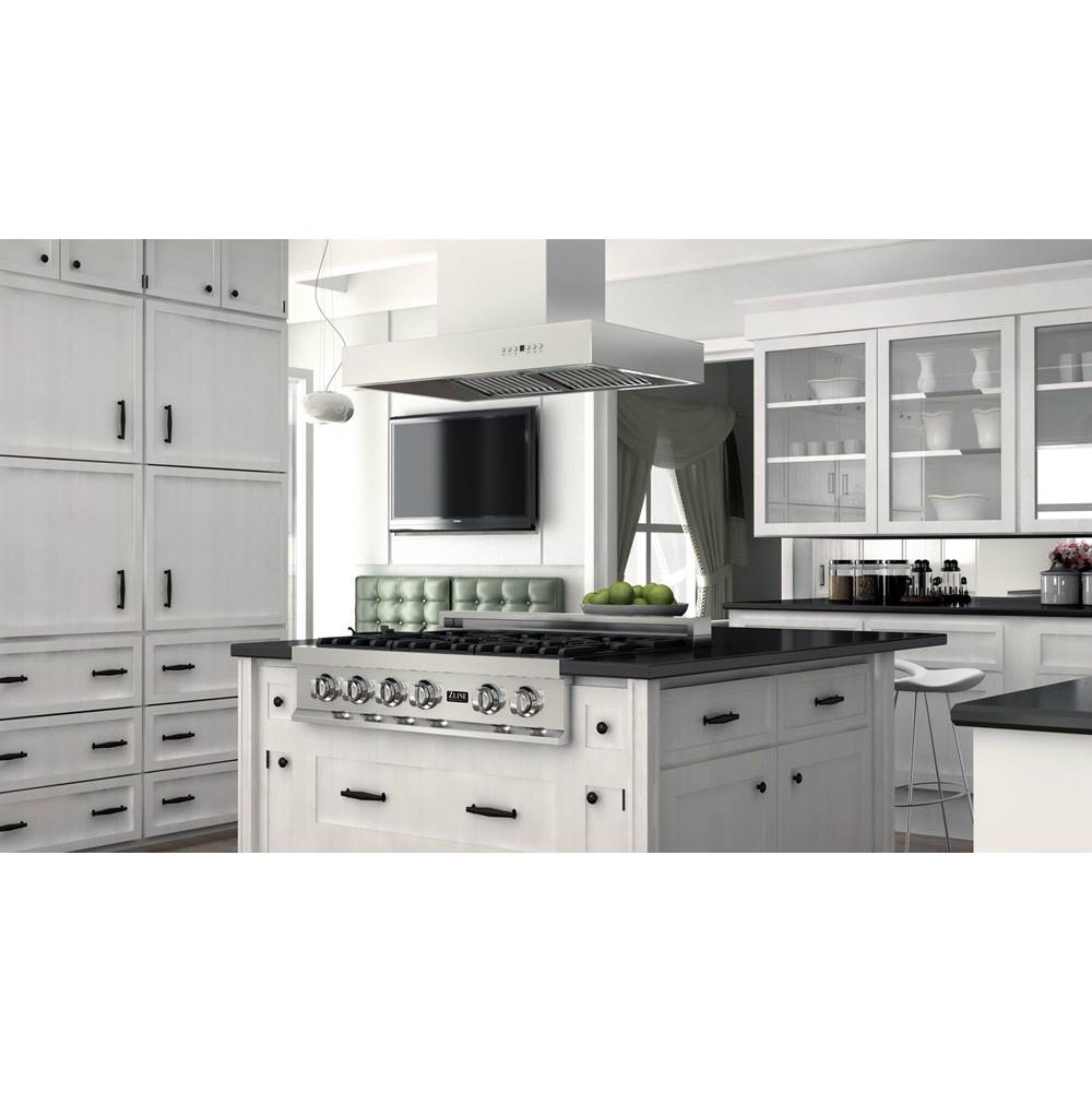 48'' Outdoor Island Mount Range Hood in Stainless Steel