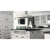 48'' Outdoor Island Mount Range Hood in Stainless Steel
