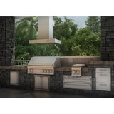 48'' Outdoor Island Mount Range Hood in Stainless Steel