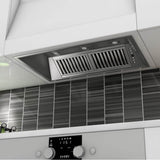 46'' Outdoor Range Hood Insert in Stainless Steel