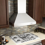 48'' Outdoor Wall Mount Range Hood in Stainless Steel