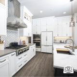 48'' Professional Wall Mount Range Hood in Stainless Steel