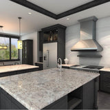48'' Professional Wall Mount Range Hood in Stainless Steel
