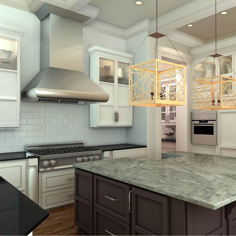 48'' Professional Wall Mount Range Hood in Stainless Steel