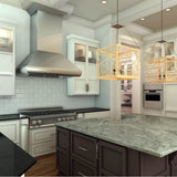 48'' Professional Wall Mount Range Hood in Stainless Steel