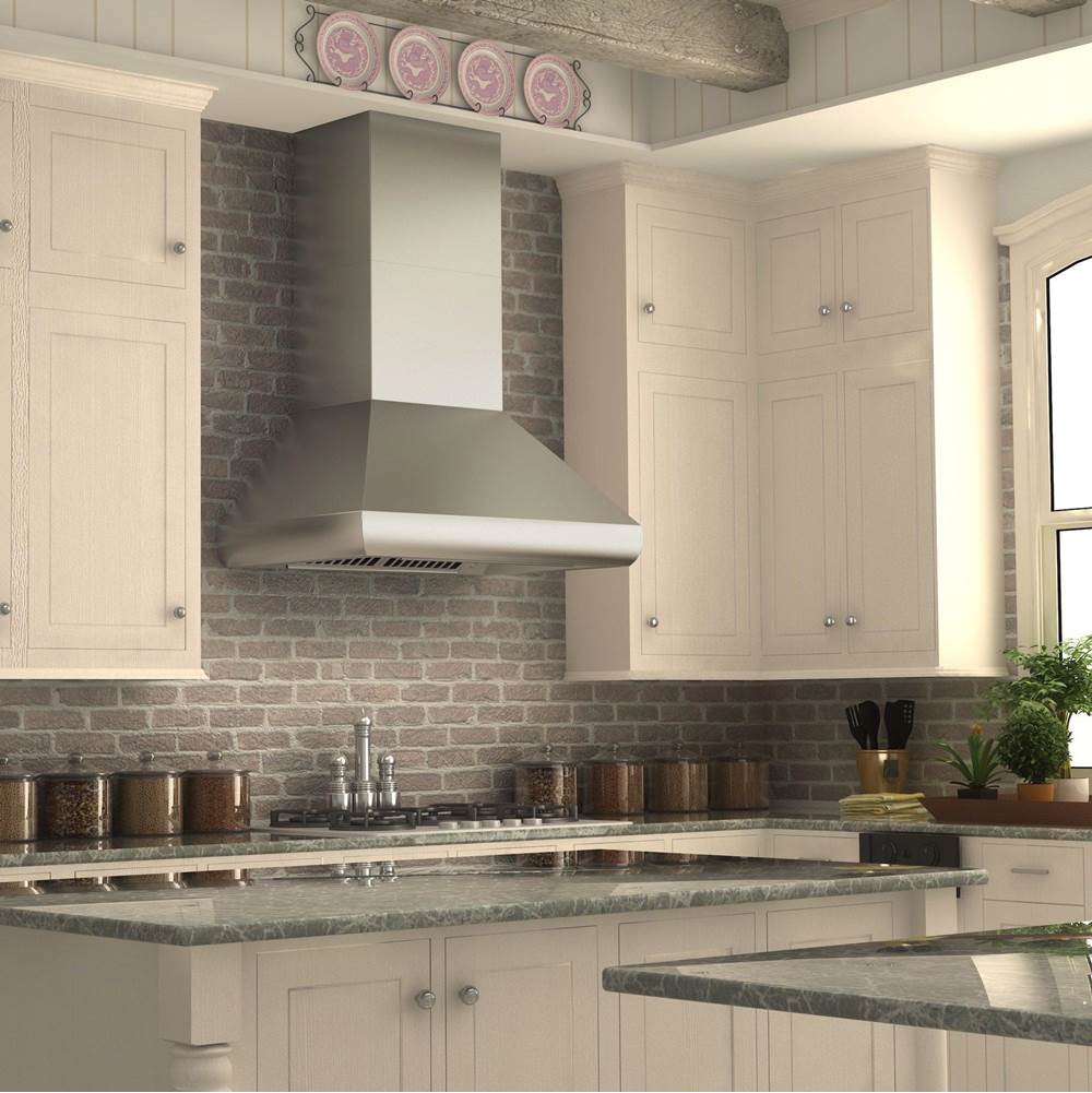 48'' Professional Wall Mount Range Hood in Stainless Steel