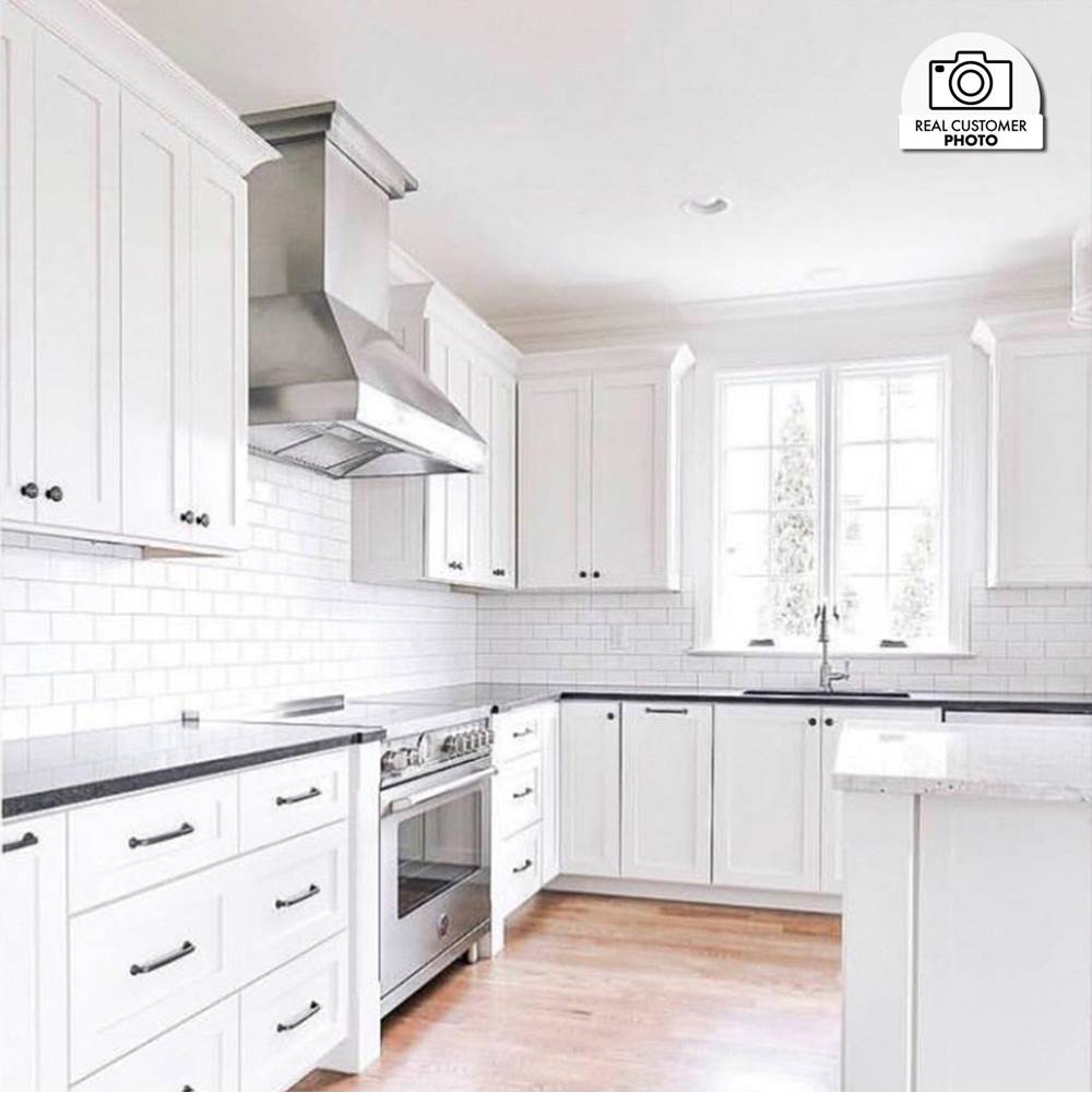 48'' Professional Wall Mount Range Hood in Stainless Steel