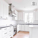 48'' Professional Wall Mount Range Hood in Stainless Steel