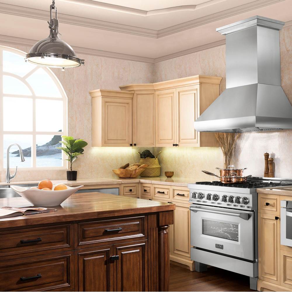 48'' Professional Wall Mount Range Hood in Stainless Steel