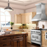 48'' Professional Wall Mount Range Hood in Stainless Steel