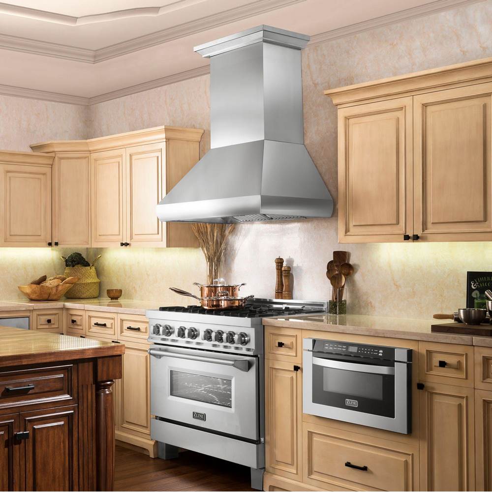 48'' Professional Wall Mount Range Hood in Stainless Steel