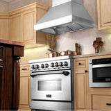 48'' Professional Wall Mount Range Hood in Stainless Steel