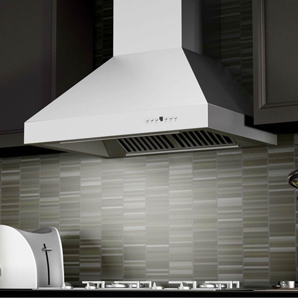 60'' Professional Wall Mount Range Hood in Stainless Steel