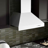 60'' Professional Wall Mount Range Hood in Stainless Steel