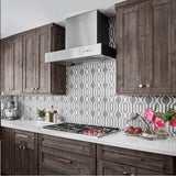 48'' Professional Wall Mount Range Hood in Stainless Steel