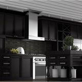 48'' Professional Wall Mount Range Hood in Stainless Steel