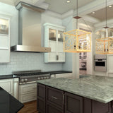 48'' Professional Wall Mount Range Hood in Stainless Steel