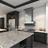 48'' Professional Wall Mount Range Hood in Stainless Steel