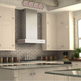 48'' Professional Wall Mount Range Hood in Stainless Steel