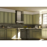 48'' Professional Wall Mount Range Hood in Stainless Steel