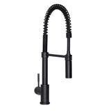 Z-Line - Sierra Kitchen Faucet in Matte Black - Matte Black
