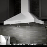 48'' Wall Mount Range Hood in Stainless Steel with Crown Molding