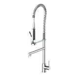 Z-Line - Van Gogh Kitchen Faucet in Chrome - Chrome