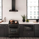 24'' Convertible Vent Wall Mount Range Hood in Black Stainless Steel