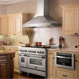 60'' Wall Mount Range Hood in Stainless Steel