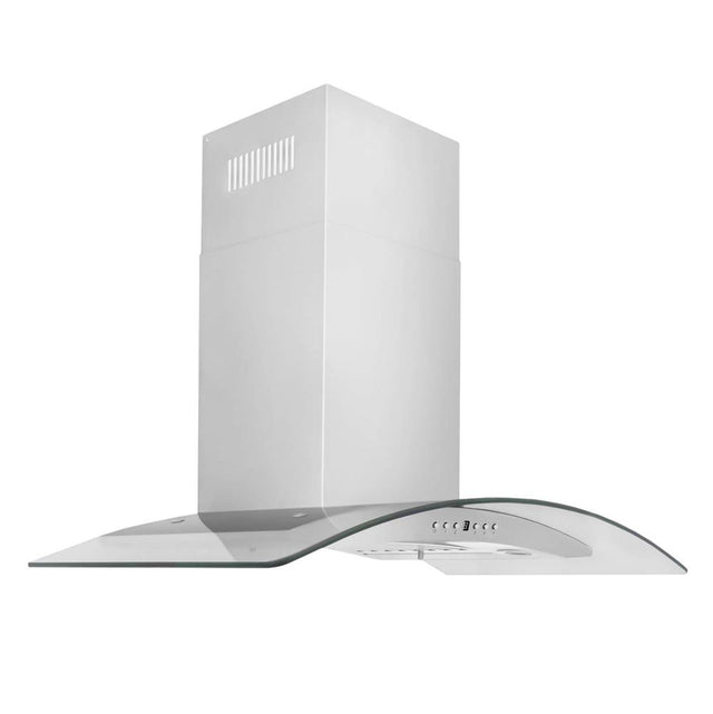 Z-Line - 30'' Wall Mount Range Hood in Stainless Steel & Glass