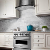 36'' Wall Mount Range Hood in Stainless Steel & Glass