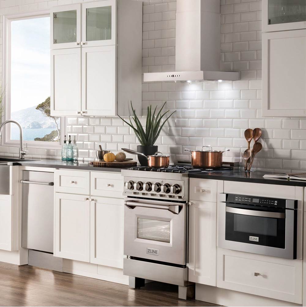 48'' Wall Mount Range Hood in Stainless Steel