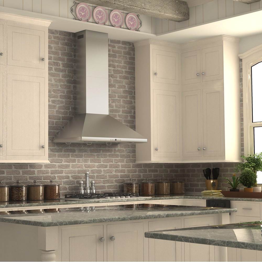 36'' Wall Mount Range Hood in Stainless Steel