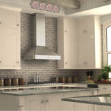 36'' Wall Mount Range Hood in Stainless Steel