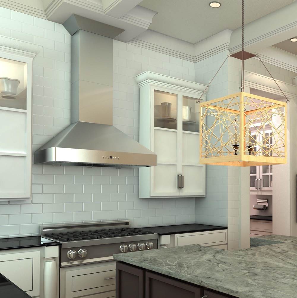 36'' Wall Mount Range Hood in Stainless Steel