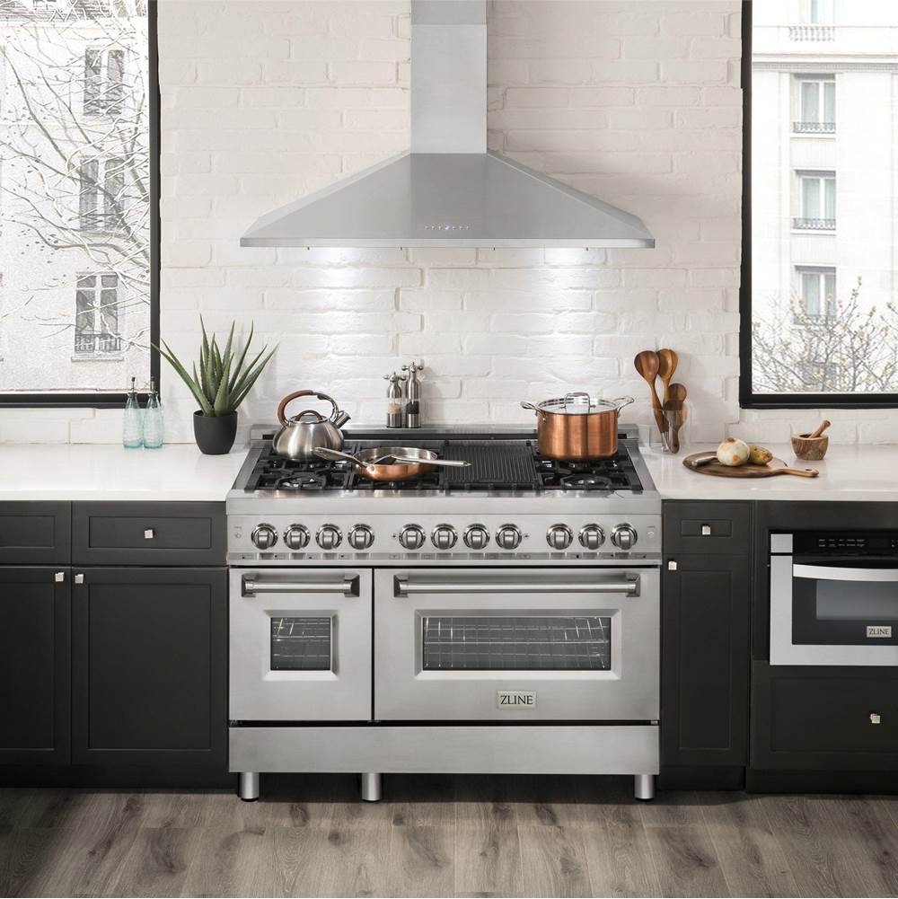 48'' Wall Mount Range Hood in Stainless Steel