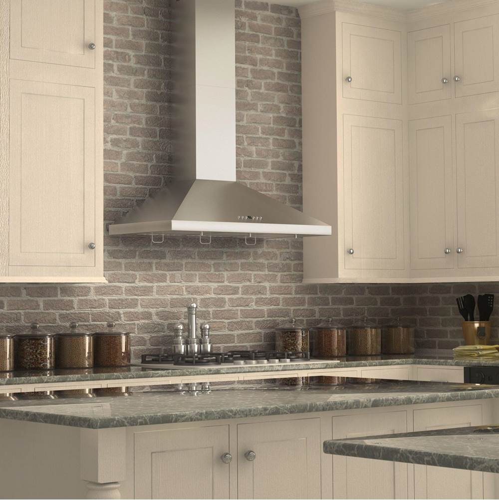 48'' Wall Mount Range Hood in Stainless Steel with Crown Molding
