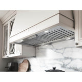 Monsoon II Insert, 60in, SS, LED, ACT