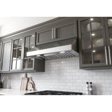 Tempest I, 11in UC, 36in, SS, LED, ACT